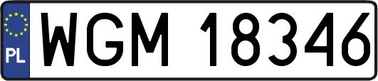WGM18346
