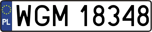 WGM18348