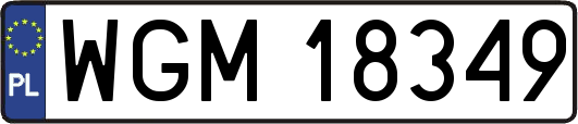WGM18349