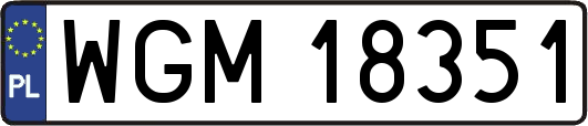 WGM18351
