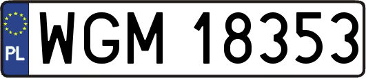WGM18353