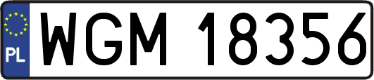 WGM18356