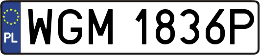 WGM1836P