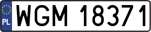 WGM18371