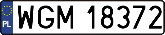 WGM18372