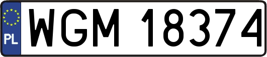WGM18374