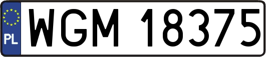 WGM18375