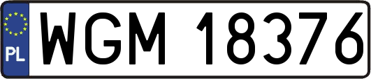 WGM18376