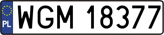 WGM18377