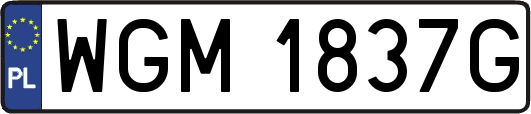 WGM1837G
