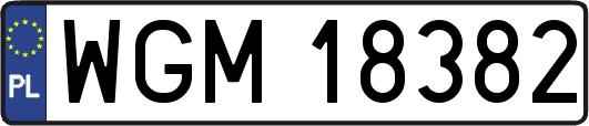 WGM18382
