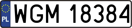 WGM18384