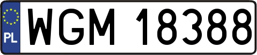 WGM18388
