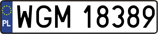 WGM18389