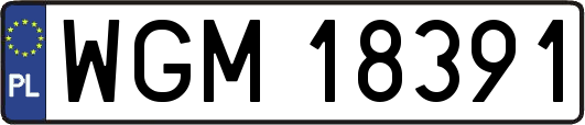 WGM18391