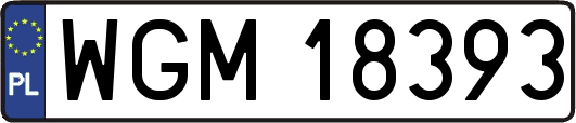 WGM18393