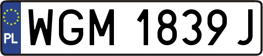 WGM1839J
