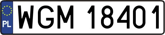 WGM18401