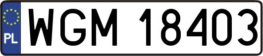 WGM18403