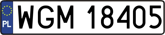 WGM18405