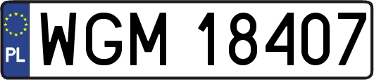 WGM18407