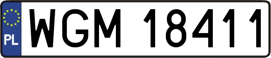 WGM18411