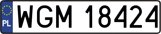 WGM18424