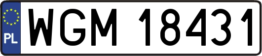 WGM18431