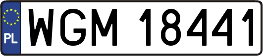 WGM18441