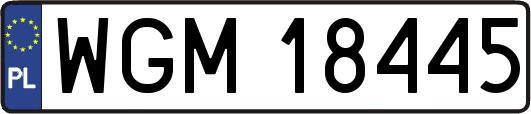 WGM18445