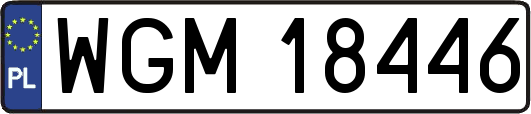 WGM18446