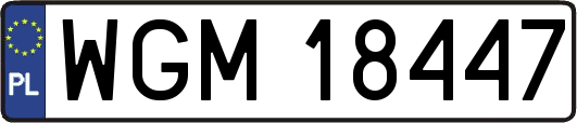 WGM18447