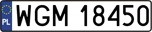 WGM18450