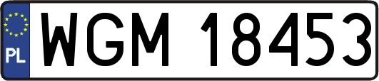 WGM18453