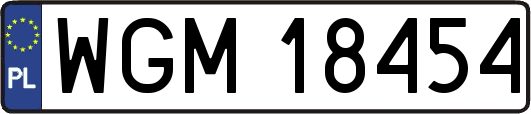 WGM18454