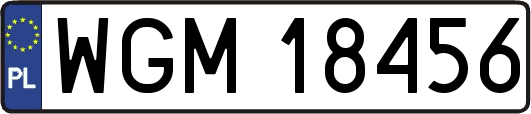 WGM18456
