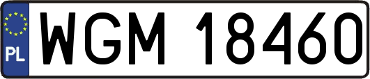WGM18460