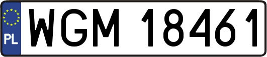 WGM18461
