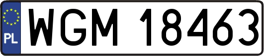 WGM18463