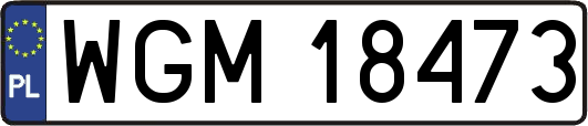 WGM18473