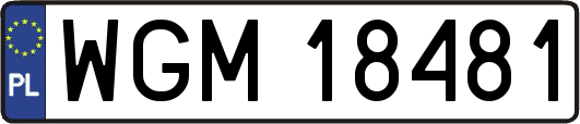WGM18481