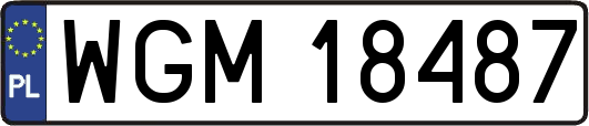 WGM18487