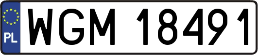 WGM18491
