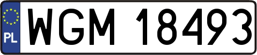 WGM18493