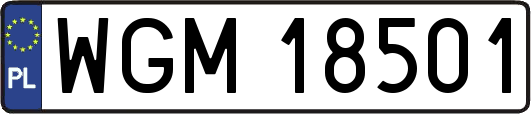 WGM18501