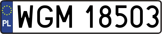 WGM18503