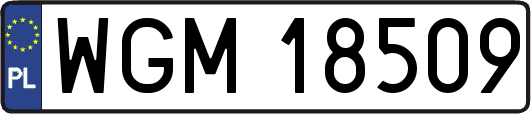 WGM18509