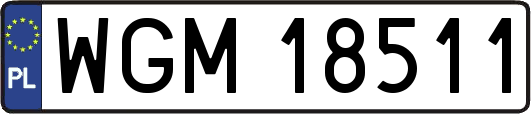 WGM18511