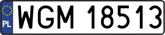 WGM18513