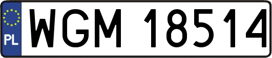 WGM18514